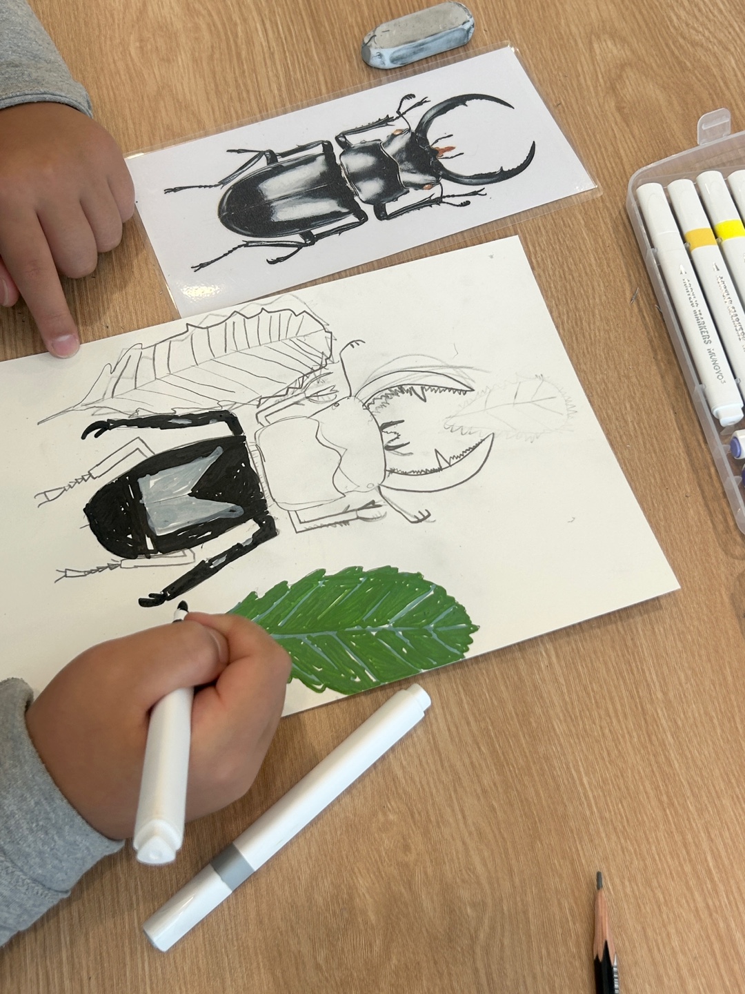 사슴벌레 정밀 관찰 드로잉